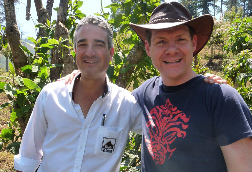 CC_Supply Coffee supplier from farm to cup
